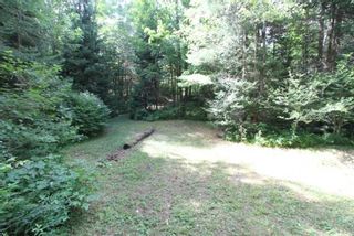 Photo 26: 300 Pinery Road in Kawartha Lakes: Rural Somerville Property for sale : MLS®# X4840235
