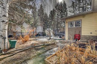 Photo 41: 5924 Bow Crescent NW in Calgary: Bowness Detached for sale : MLS®# A2115177