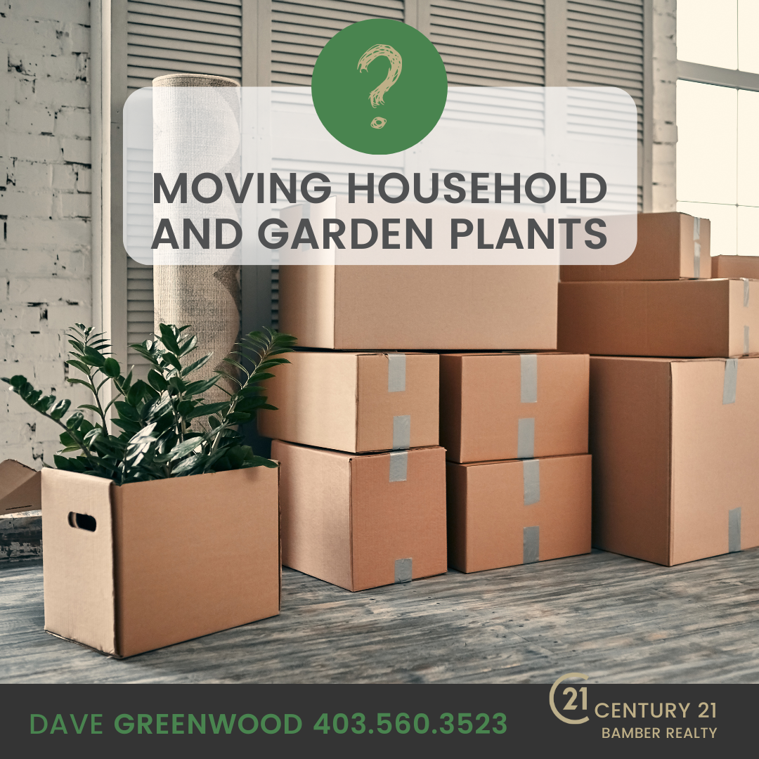 Moving Household and Garden Plants