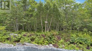 Photo 9: Lot 7 Maple Ridge Drive in White Point: Vacant Land for sale : MLS®# 202315168