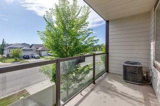 Photo 32: 704 125 Caribou Crescent: Red Deer Row/Townhouse for sale : MLS®# A2134694