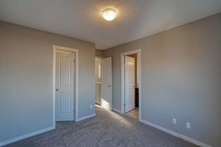 Photo 25: 20 Cornerbrook Gate NE in Calgary: Cornerstone Semi Detached (Half Duplex) for sale : MLS®# A1258791