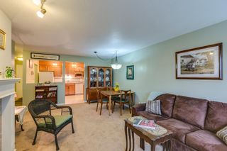 Photo 5: 2 Bedroom Apartment for Sale in Maple Ridge
