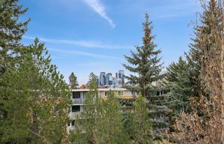 Photo 20: 372 1620 8 Avenue NW in Calgary: Hounsfield Heights/Briar Hill Apartment for sale : MLS®# A2129756