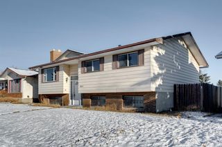 Photo 3: 3812 49 Street NE in Calgary: Whitehorn Detached for sale : MLS®# A1054455