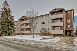 Main Photo: 303 1917 24A Street SW in Calgary: Richmond Apartment for sale : MLS®# A2013195