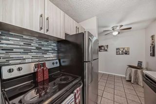 Photo 8: 402 1524 15 Avenue SW in Calgary: Sunalta Apartment for sale : MLS®# A2115822