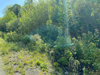Photo 5: Lot 2 Egypt Road in Little Harbour: 108-Rural Pictou County Vacant Land for sale (Northern Region)  : MLS®# 202315967