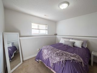 Photo 20: 139 Springs Crescent SE: Airdrie Detached for sale : MLS®# A1065825