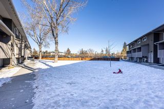 Photo 26: 23 8112 36 Avenue NW in Calgary: Bowness Row/Townhouse for sale : MLS®# A2034576