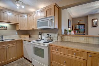 Photo 3: 311 8604 48 Avenue NW in Calgary: Bowness Apartment for sale : MLS®# A1113873