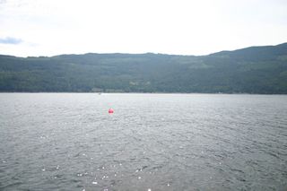 Photo 61: 11 6432 Sunnybrae Road in Tappen: Steamboat Shores Vacant Land for sale (Shuswap Lake)  : MLS®# 10155187