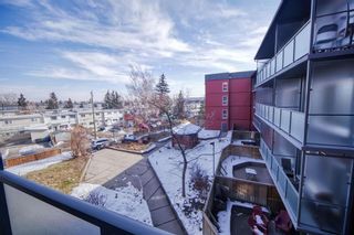 Photo 25: 306 333 Garry Crescent NE in Calgary: Greenview Apartment for sale : MLS®# A2034884