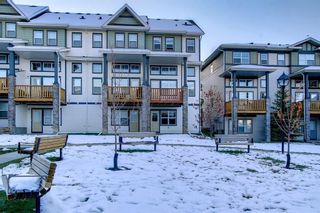Photo 35: 47 Panatella Road NW in Calgary: Panorama Hills Row/Townhouse for sale : MLS®# A2009290