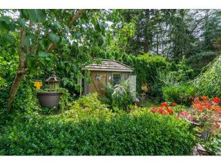 Photo 15: 2095 204A Street in Langley: Brookswood Langley House for sale : MLS®# F1450193
