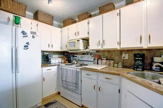 Photo 7: 169 Falsby Road NE in Calgary: Falconridge Semi Detached (Half Duplex) for sale : MLS®# A1252532