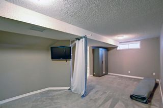 Photo 22: 157 Chapalina Place SE in Calgary: Chaparral Detached for sale : MLS®# A1242020