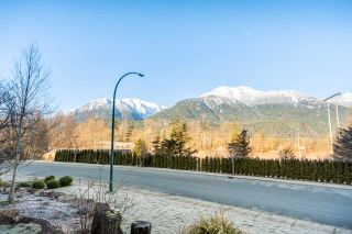 Photo 34: 41368 TANTALUS ROAD in Squamish: Tantalus House for sale : MLS®# R2456583