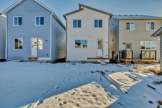 Photo 48: 175 Belvedere Green SE in Calgary: Belvedere Detached for sale : MLS®# A2094403