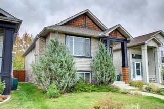 Photo 3: 304 Sagewood Park SW: Airdrie Detached for sale : MLS®# A2003544