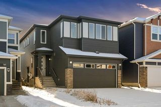 Photo 41: 157 Belmont Villas SW in Calgary: Belmont Detached for sale : MLS®# A2093273