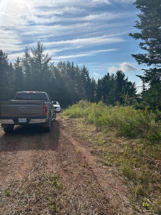 Photo 9: VL No. 2 Highway in Fenwick: 102S-South of Hwy 104, Parrsboro Vacant Land for sale (Northern Region)  : MLS®# 202318736