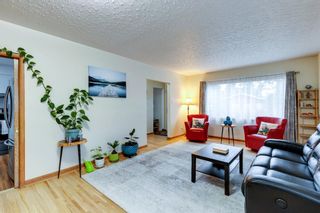 Photo 18: 4519 19 Avenue SW in Calgary: Glendale Detached for sale : MLS®# A1240850