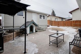 Photo 25: 27 Beddington Way NE in Calgary: Beddington Heights Detached for sale : MLS®# A1066951