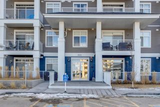 Photo 22: 313 300 Auburn Meadows Common SE in Calgary: Auburn Bay Apartment for sale : MLS®# A1191905