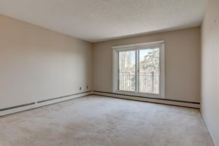 Photo 11: 401 723 57 Avenue SW in Calgary: Windsor Park Apartment for sale : MLS®# A1083069