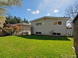 Photo 20: 244 Sims Ave in VICTORIA: SW Gateway House for sale (Saanich West)  : MLS®# 754713