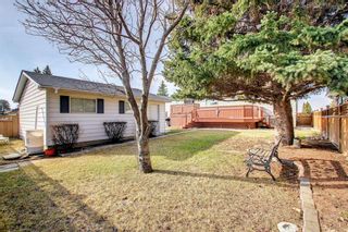 Photo 47: 5508 Dalhousie Drive NW in Calgary: Dalhousie Detached for sale : MLS®# A1212597