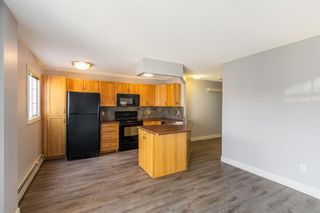 Photo 5: 103 117 38 Avenue SW in Calgary: Parkhill Apartment for sale : MLS®# A2000812