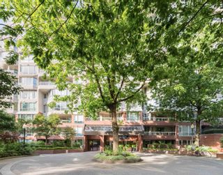 Photo 32: 210 518 MOBERLY Road in Vancouver: False Creek Condo for sale in "Newport Quay" (Vancouver West)  : MLS®# R2742139