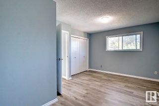 Photo 41: 10521 29A Avenue in Edmonton: Zone 16 House for sale : MLS®# E4305631