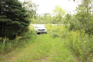 Photo 8: Lt 2 Hwy 121 in Kawartha Lakes: Rural Somerville Property for sale : MLS®# X2986227