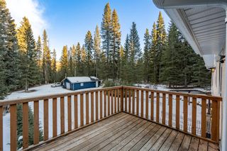 Photo 12: 140 5417 Hwy 579: Rural Mountain View County Detached for sale : MLS®# A1180754