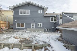 Photo 37: 4916 Whitehorn Drive NE in Calgary: Whitehorn Detached for sale : MLS®# A2114667