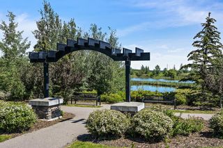 Photo 43: 8 Evansdale Way NW in Calgary: Evanston Detached for sale : MLS®# A2022181