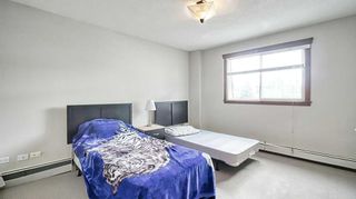Photo 17: 312 920 68 Avenue SW in Calgary: Kingsland Apartment for sale : MLS®# A2120007