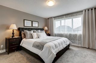 Photo 18: 209 Yorkville Green SW in Calgary: Yorkville Detached for sale : MLS®# A2048128