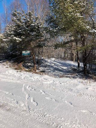Photo 31: Lot 5 Lakeview Drive in Lake La Rose: Annapolis County Vacant Land for sale (Annapolis Valley)  : MLS®# 202300542