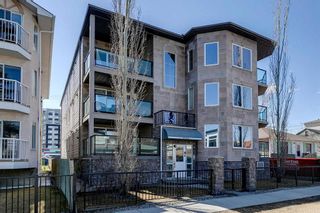 Main Photo: 31 209 17 Avenue NE in Calgary: Tuxedo Park Apartment for sale : MLS®# A2125876
