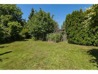 Photo 20: 13329 98 AVENUE in Surrey: Whalley House for sale (North Surrey)  : MLS®# R2376461