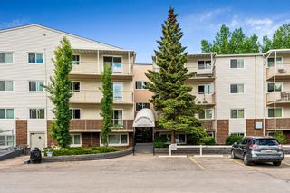 Photo 19: 412 3420 50 Street NW in Calgary: Varsity Apartment for sale : MLS®# A2053928
