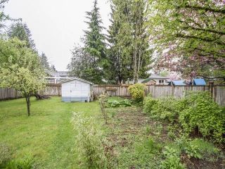 Photo 10: 21706 DEWDNEY TRUNK Road in Maple Ridge: West Central House for sale : MLS®# R2162436