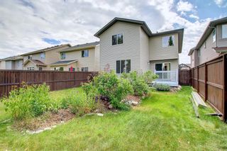 Photo 43: 287 Chapalina Terrace SE in Calgary: Chaparral Detached for sale : MLS®# A1246108