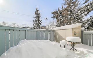 Photo 12: 5 115 13 Avenue NE in Calgary: Crescent Heights Row/Townhouse for sale : MLS®# A2030719