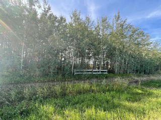 Photo 2: Chinook Valley Road in Rural Northern Lights, County of: Rural Northern Lights M.D. Residential Land for sale : MLS®# A1142192