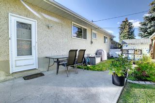 Photo 21: 4444 Dalhart Road NW in Calgary: Dalhousie Detached for sale : MLS®# A1259636